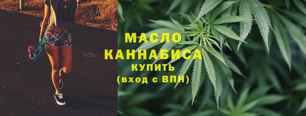 СК Няндома