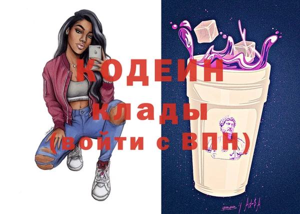 СК Няндома