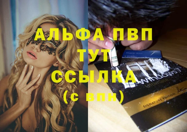СК Няндома