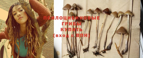 альфа пвп Нязепетровск