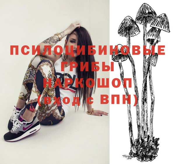СК Няндома