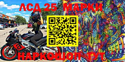 шишки Берёзовский