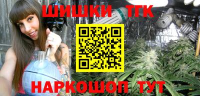 шишки Берёзовский