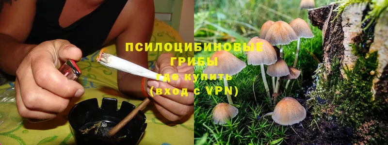 Галлюциногенные грибы Psilocybine cubensis  hydra рабочий сайт  Костомукша 