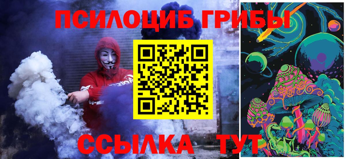 Галлюциногенные грибы Cubensis Костомукша