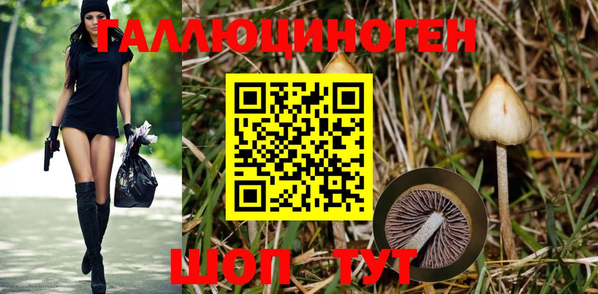 Псилоцибиновые грибы Magic Shrooms  Вход с VPN  Костомукша  Галлюциногенные грибы прущие грибы 
