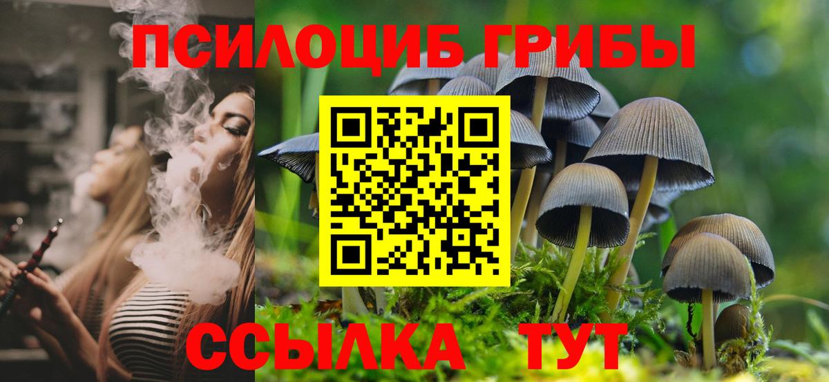 Галлюциногенные грибы Magic Shrooms Костомукша